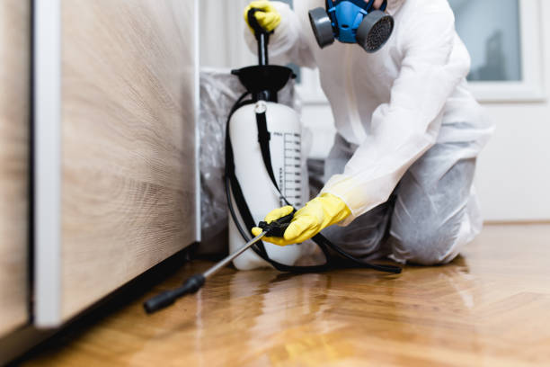 Best Local Pest Control Services  in Winchester, CA