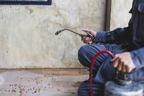 Best Pest Inspection Near Me  in Winchester, CA